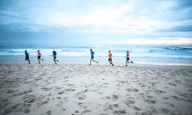 Coastal Ascent Trail Run Dixon Park NSW 2019