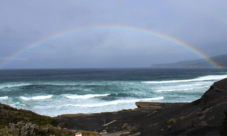 South Coast Track Marathon Tasmania 2019