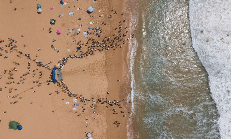 2020 Macquarie Big Swim Sydney NSW