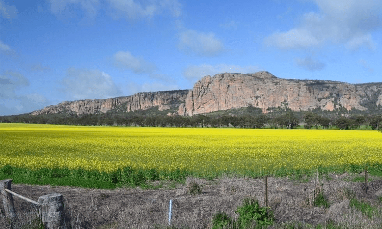 Grapples Cycle Event VIC 2023