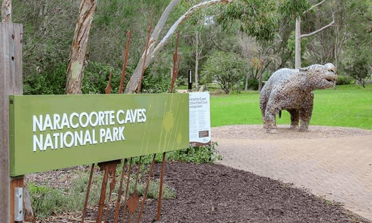 Cave Run Naracoorte Caves National Park South Australia