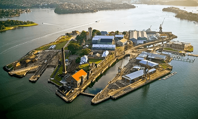 Dawny to Cockatoo Island Swim Balmain NSW