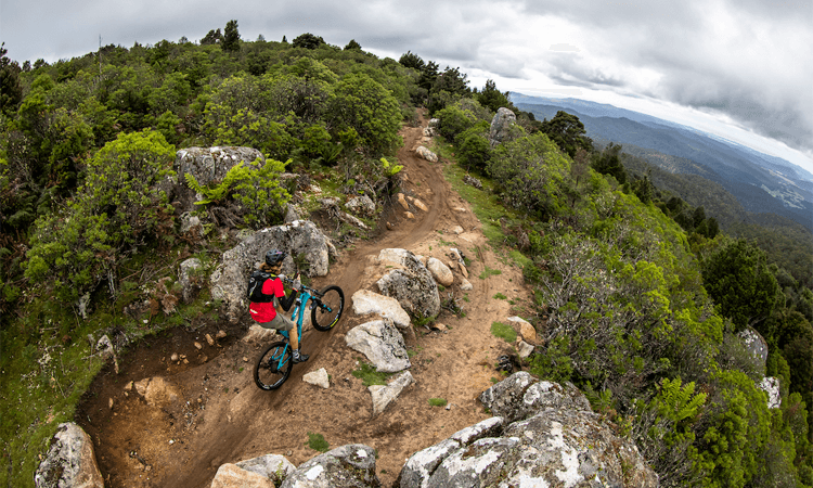 Dragon Trail XC MTB Race Tasmania ridge