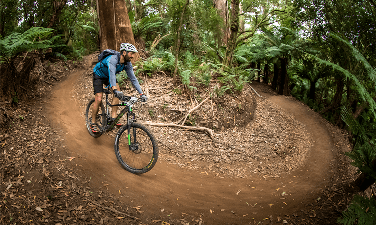 Dragon Trail XC MTB Race Tasmania switchback