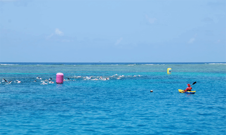 Great Barrier Reef Swim swimmers