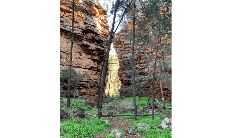 Melrose Running Festival South Australia