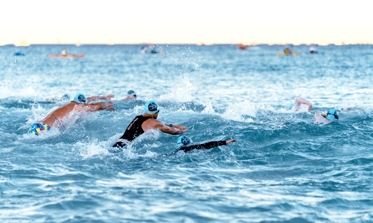 Swimmers at the Euroz Hartleys Port to Pub start line, North Fremantle