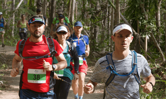 Run the Great Whitsunday Trail Rainforest 