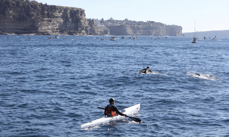 South Head Roughwater Swim Sydney NSW