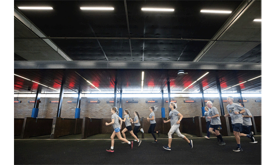 Step-out-for-cancer-2025-550x330px-runners-2