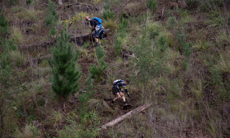 Wandi Cross Mountain Running Challenge Bright Victoria 