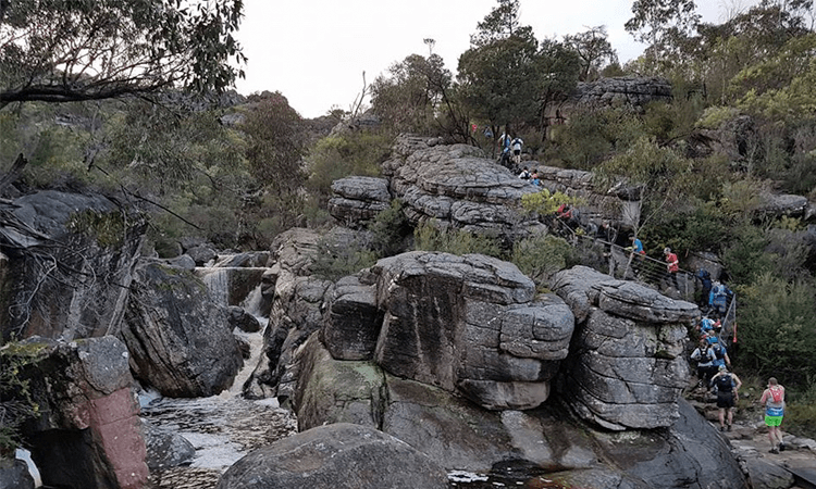 Wonderland Run Halls Gap Victoria