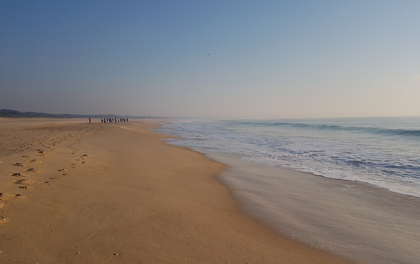 Blacksmiths to Breakwall Coast Walk Caves Beach Central Coast NSW 2018