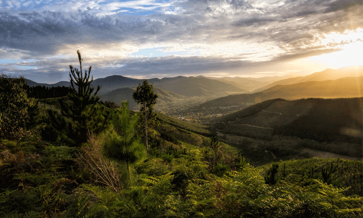 Wandi Cross Mountain Running Challenge Bright Victoria 2019